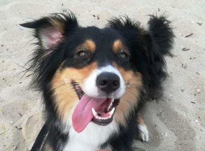 Photo of Pily